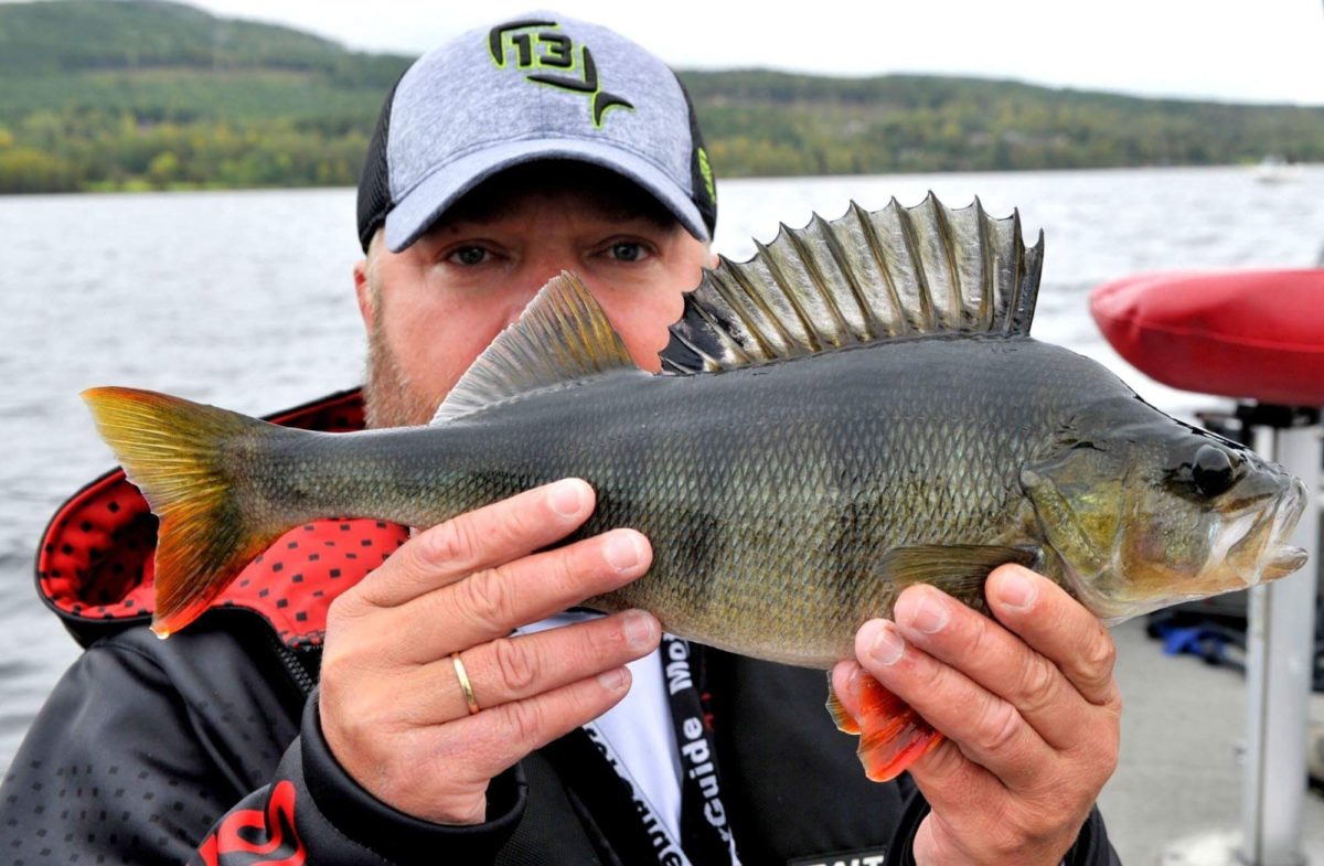 Her får dere være med ut på litt abborfiske.  Ny metode, Pendelfiske :-)