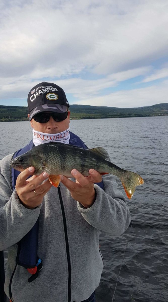 Snitt på 994 gram på Brenni