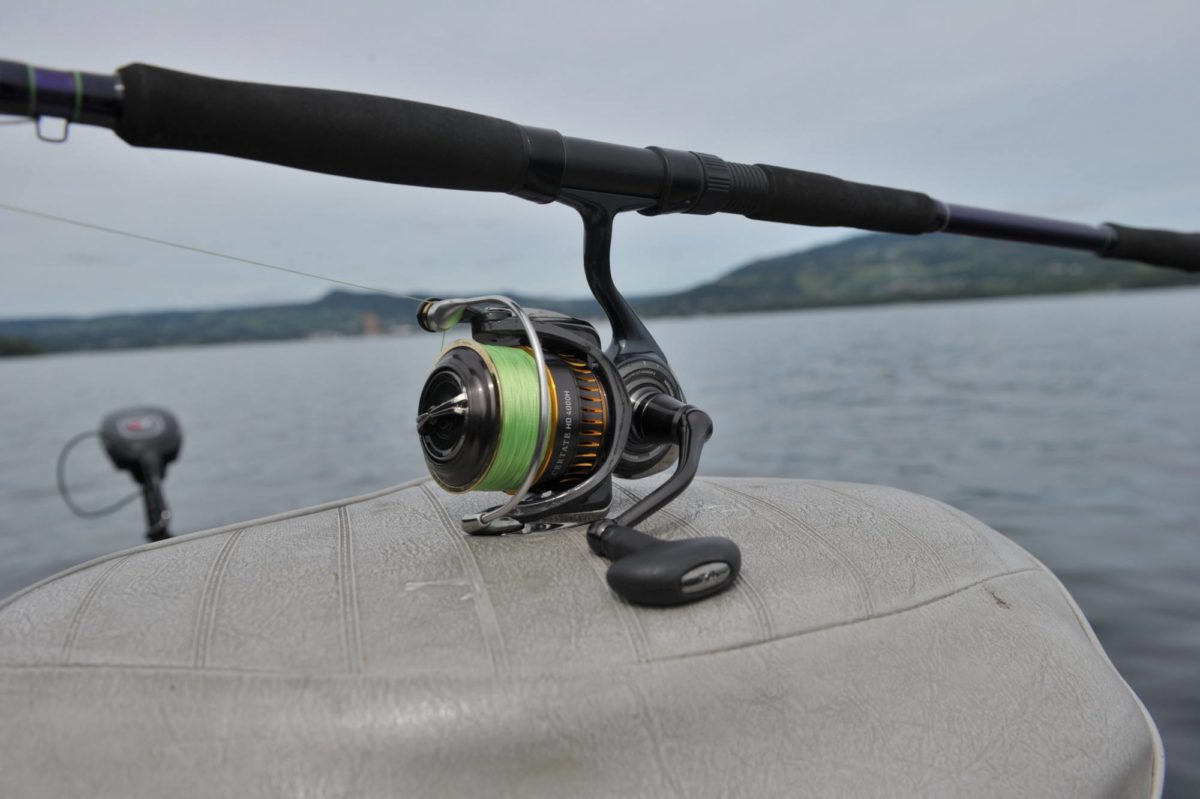 STANGTEST – RENZ BEASTLY SPIN