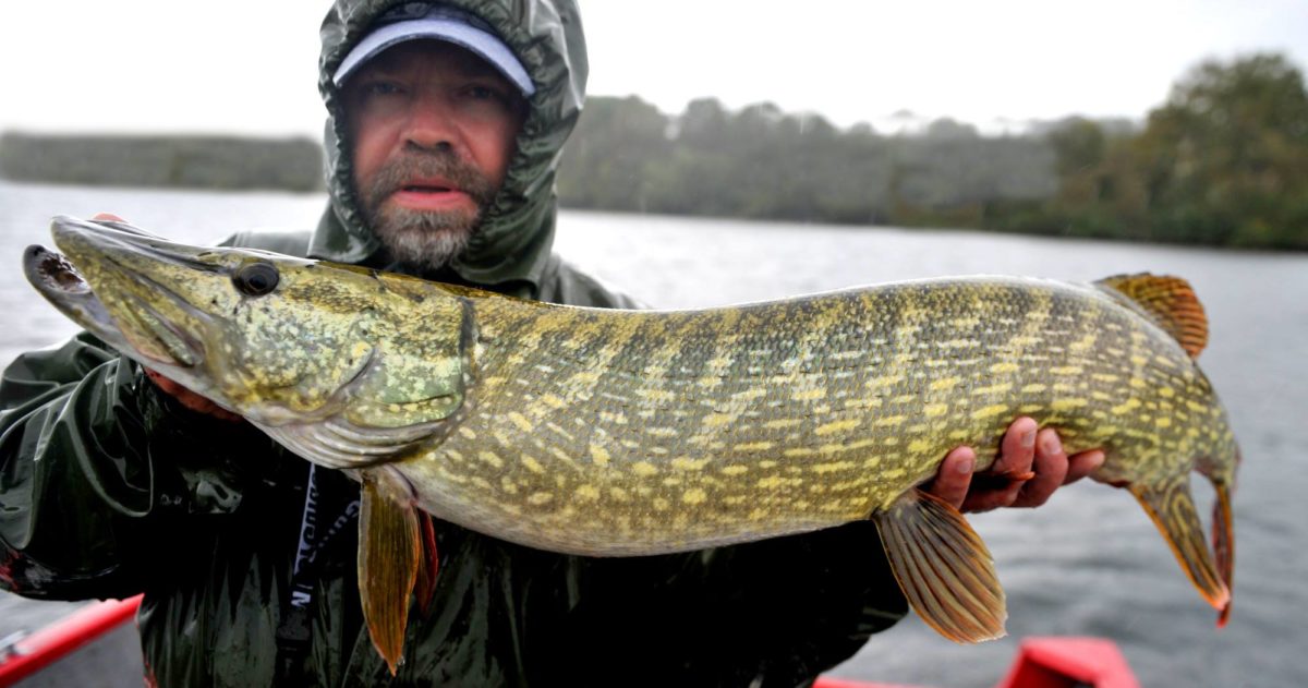 Jeg tok med meg to baits, og en rigg.