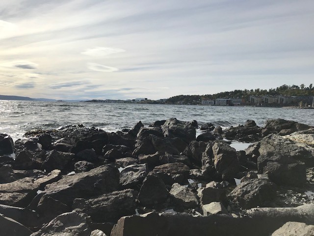 En tur langs med sjøen med vinden i fleisen (skrevet av Jørgen Moursund)