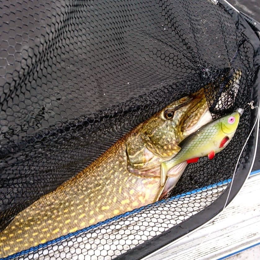 På Braxen Gen 2 sidriggad med 30grams skalle och största SZ skruvdotten på sidan + två 3/0or