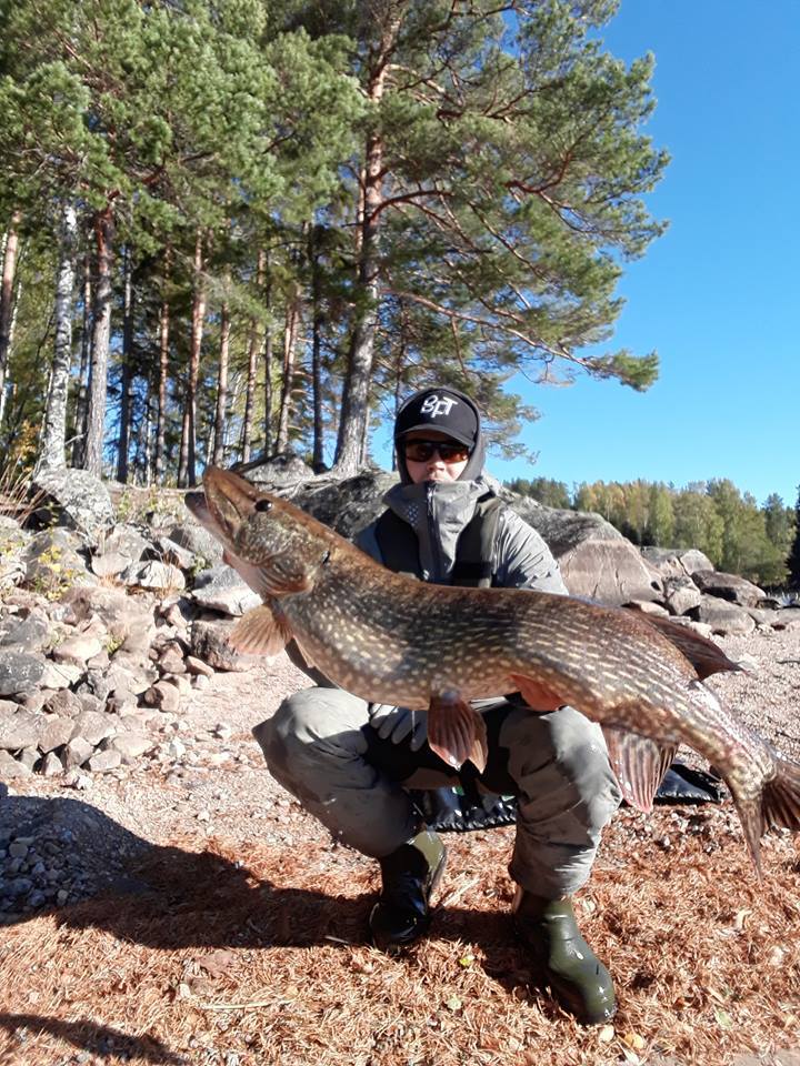 Gris på egen shad for Stian Reigstad