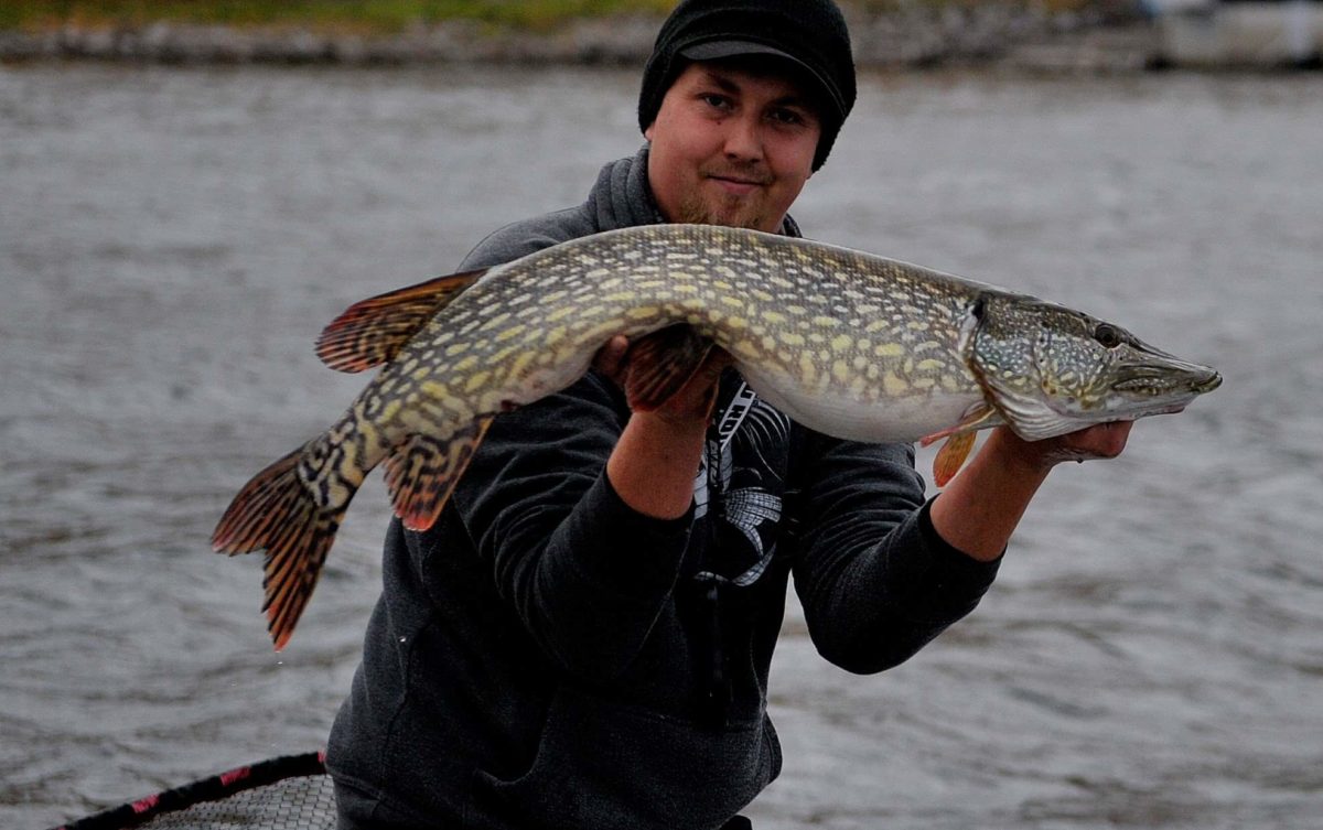 27. plass på Nafstad.