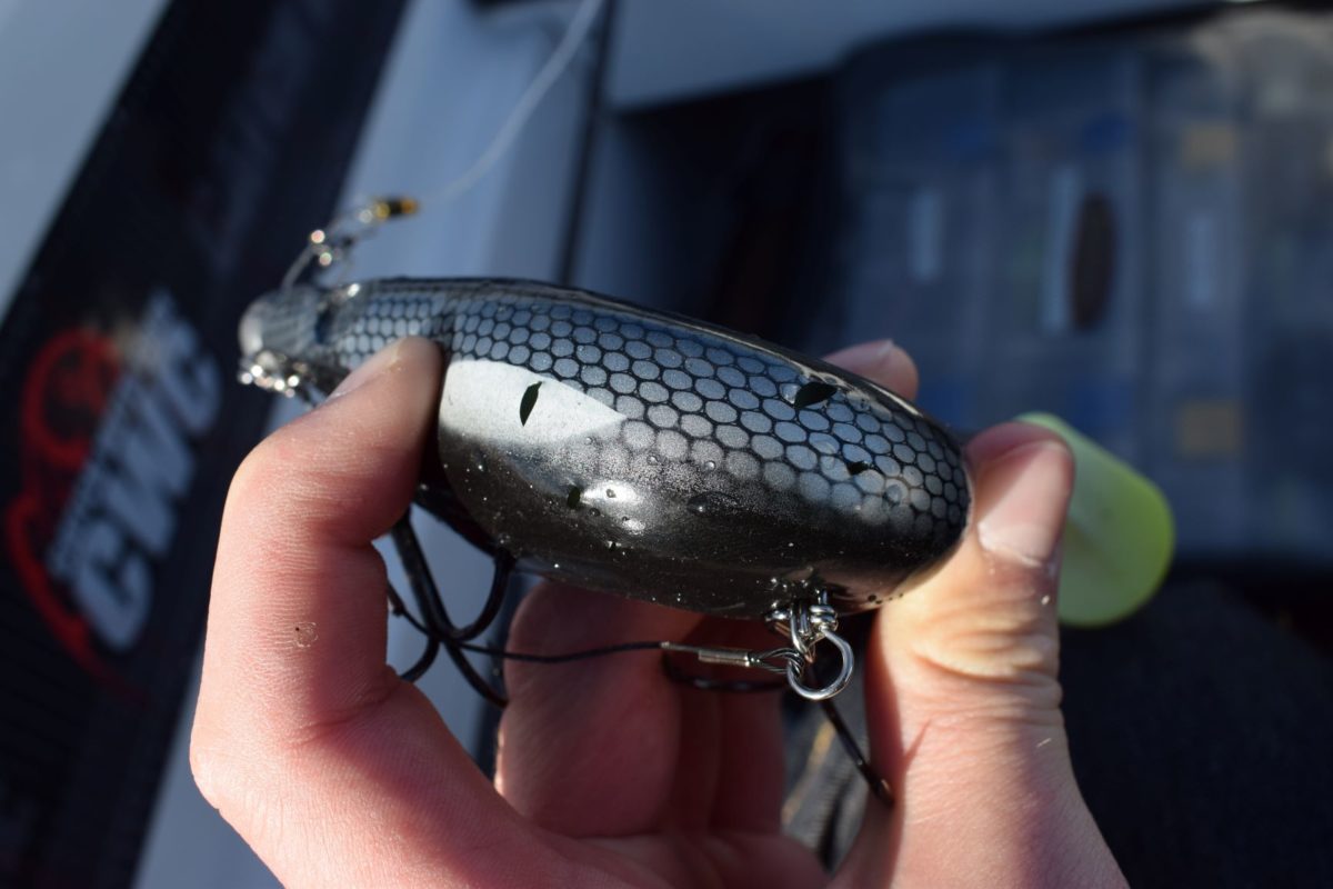 En liten søndagstur på Mjøsa.