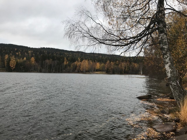 Gjeddefisketur med ny stang