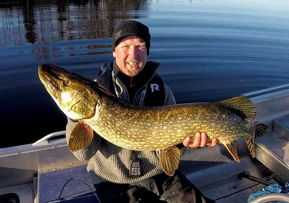 Man SKAL ikke være REDD FOR og slå seg selv på brøste.