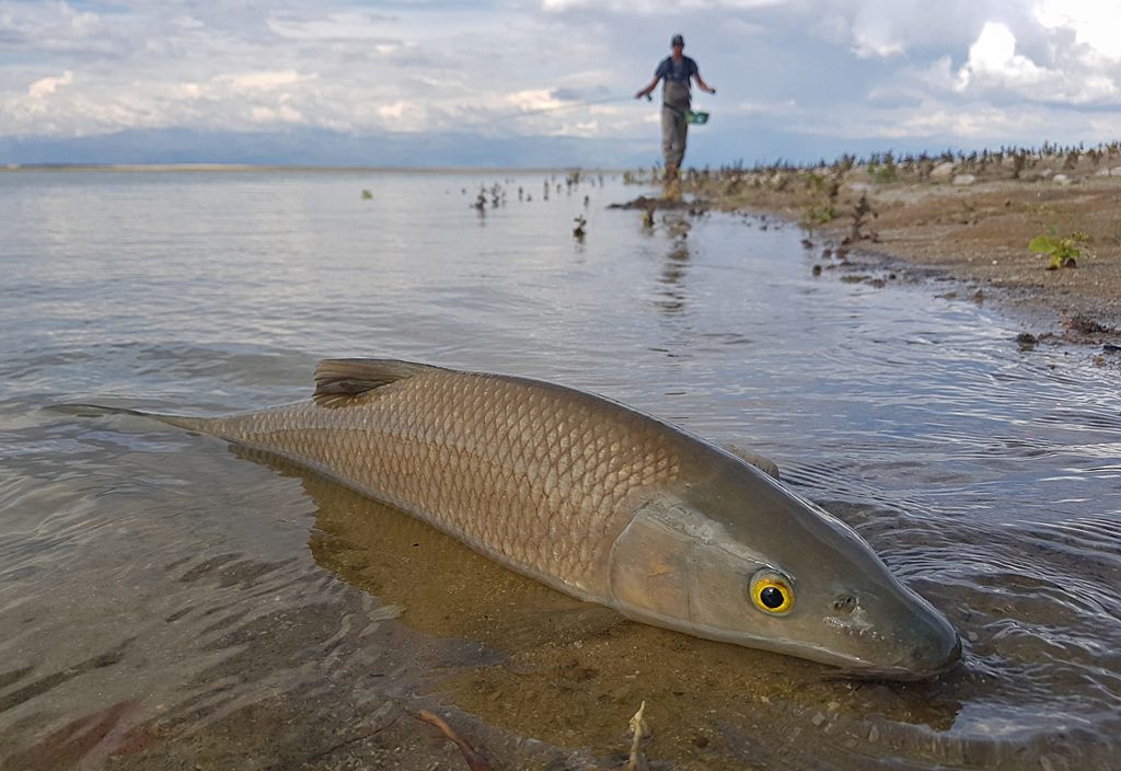 Robert Alexander Sørvik har vøri i Spania.