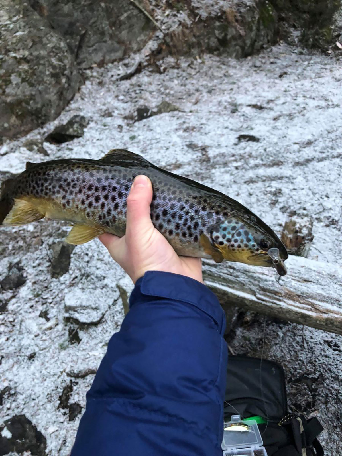 Ørretfiske i november! (skrevet av Matheus 13 år )