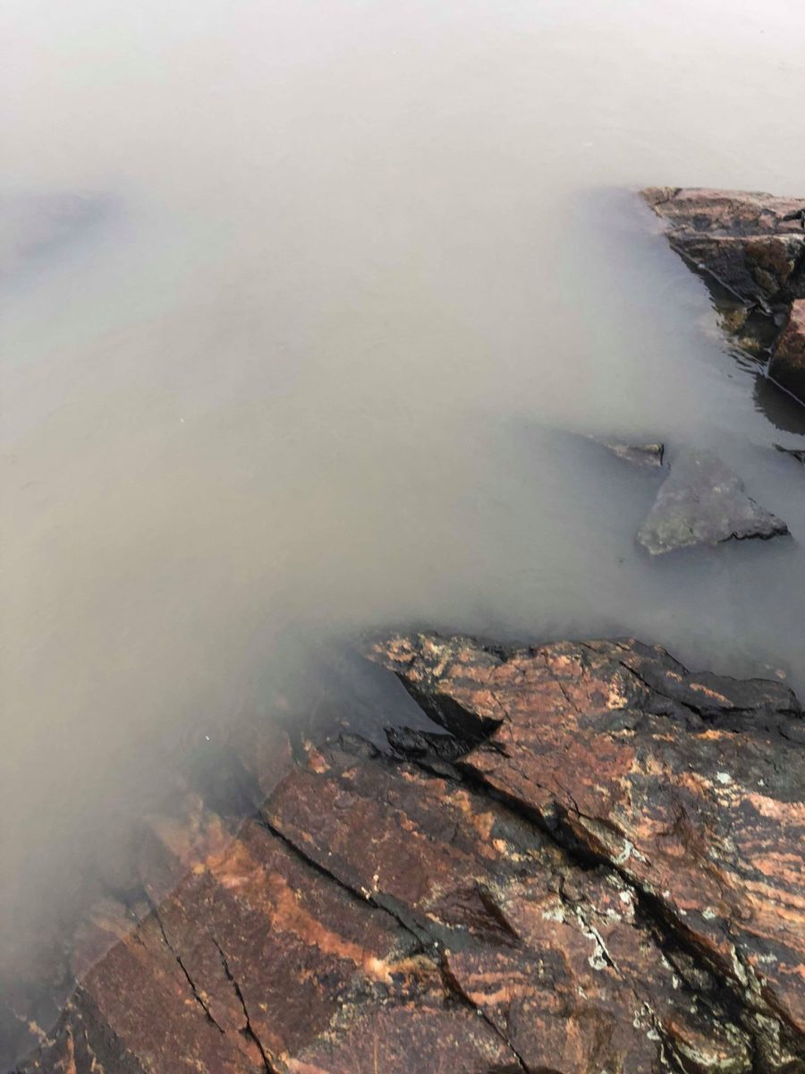 Sjøørretfiske  i cacaovann! (Matheus på tur)