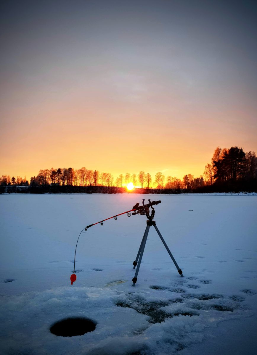 Året 2018, en fiskers oppturer og nedturer.