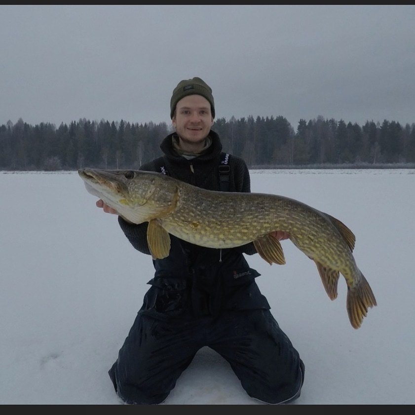 Johann C. Vangerud   har vært på isfiske Premiere 2019.  Grisvarning.