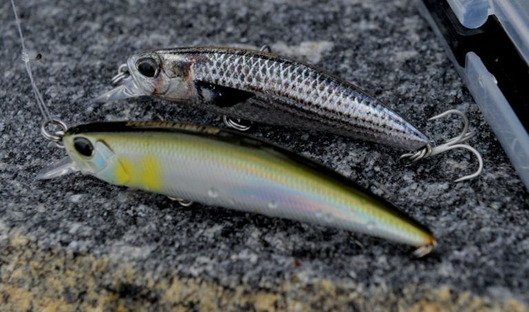 På jakt etter sjøørreten10.feb. 2019 . OG ENDELIG, ble det litt fisk på film.