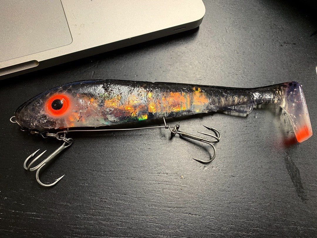 Svartzunker med nye UV-Flash serie.