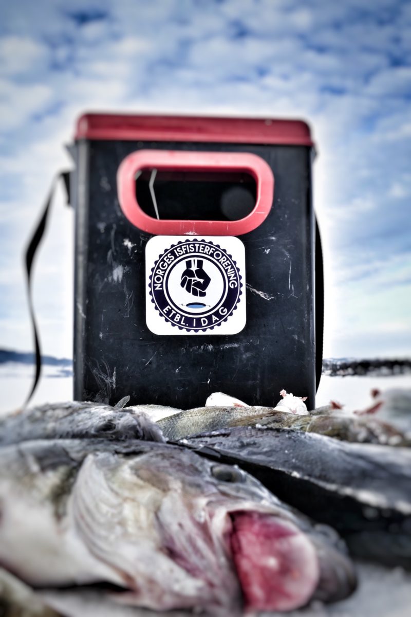 ÅBBOR I LAKA