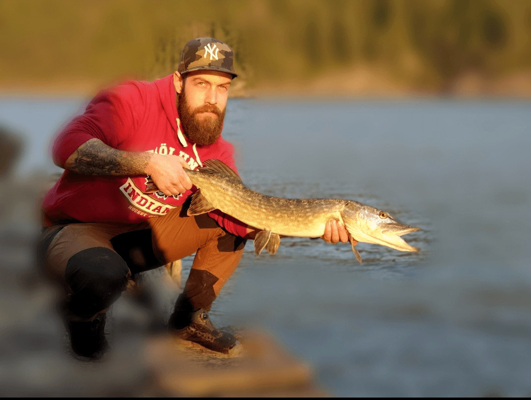 Igjen ute etter abbor, men fant bare gjedde. Denne tok også en 10cm daiwa shad.