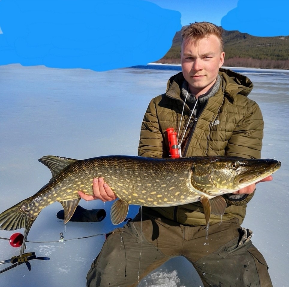 To nye inn for Rein R. Dalermoen