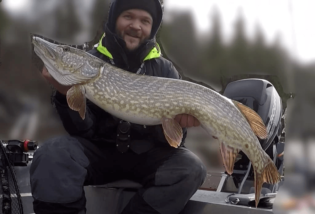 Den blide Stian leverer varene fra første fisk.