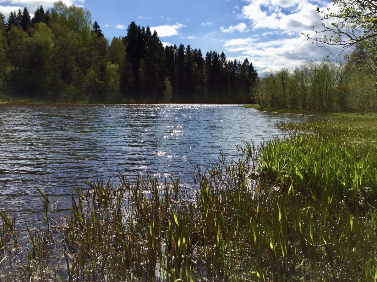 Når det ender opp med at det kun er lengde og vekt som teller. (Rapport skrevet av Kristin Roos Aas)