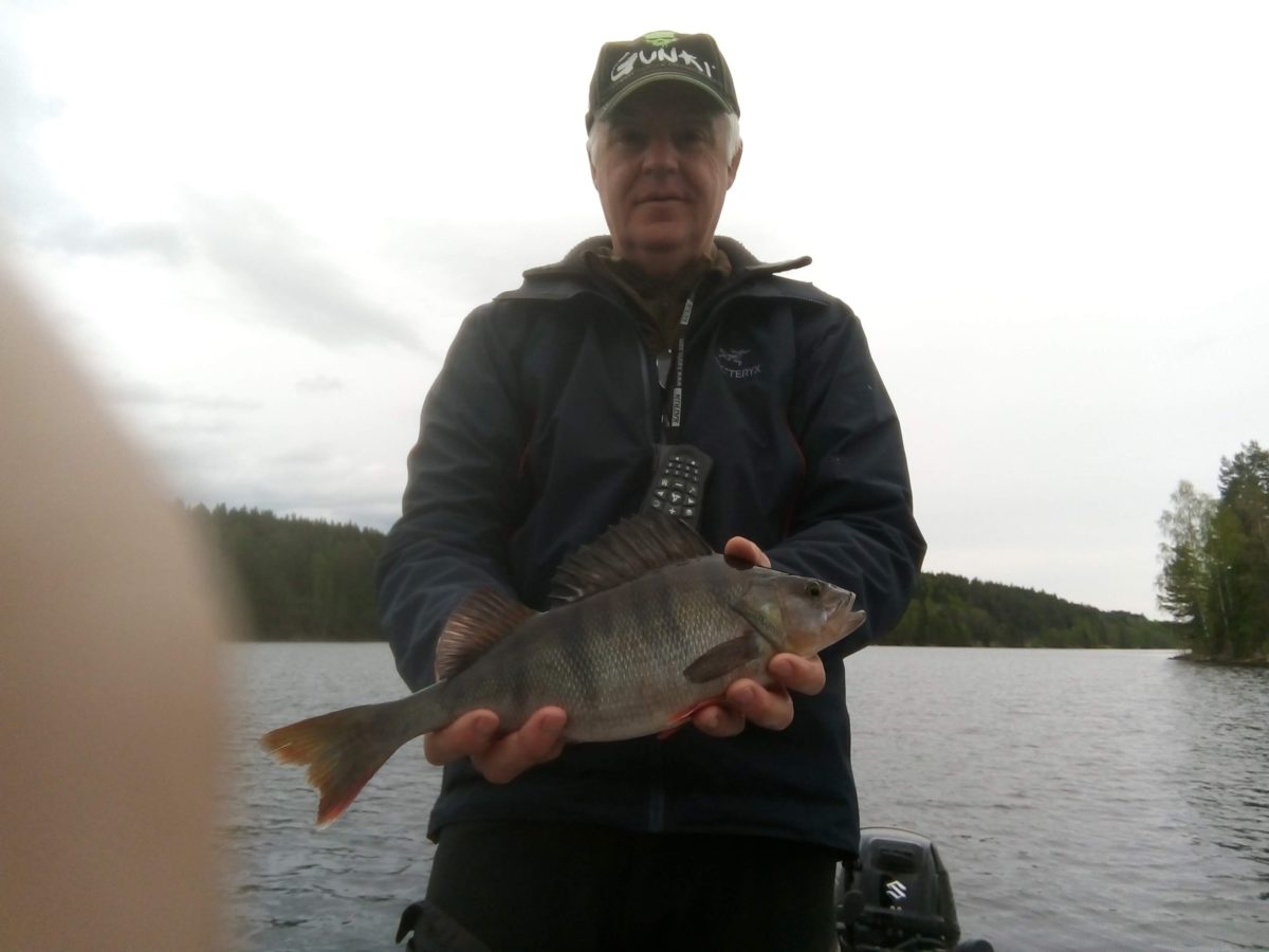 To nye abborer for Arve. Leder nå konkurransen