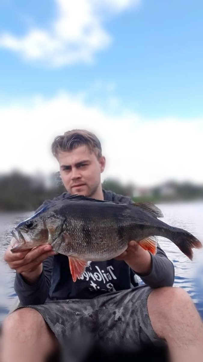 På sin egen Tailored Bleak