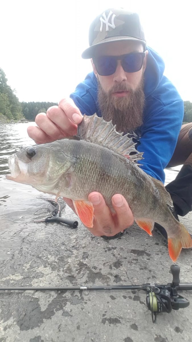 Endelig løsnet det for min del! Etter 2 små gjedder så fulgte denne, tatt på en daiwa tournament shad..