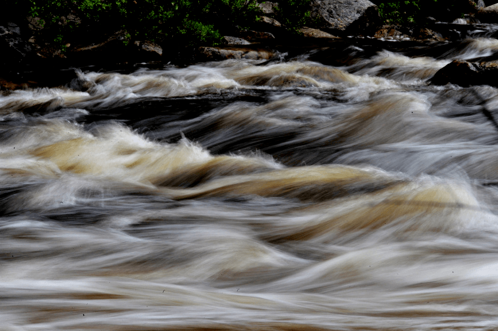 Ørretfiske i Mistra en dag i juni 2019