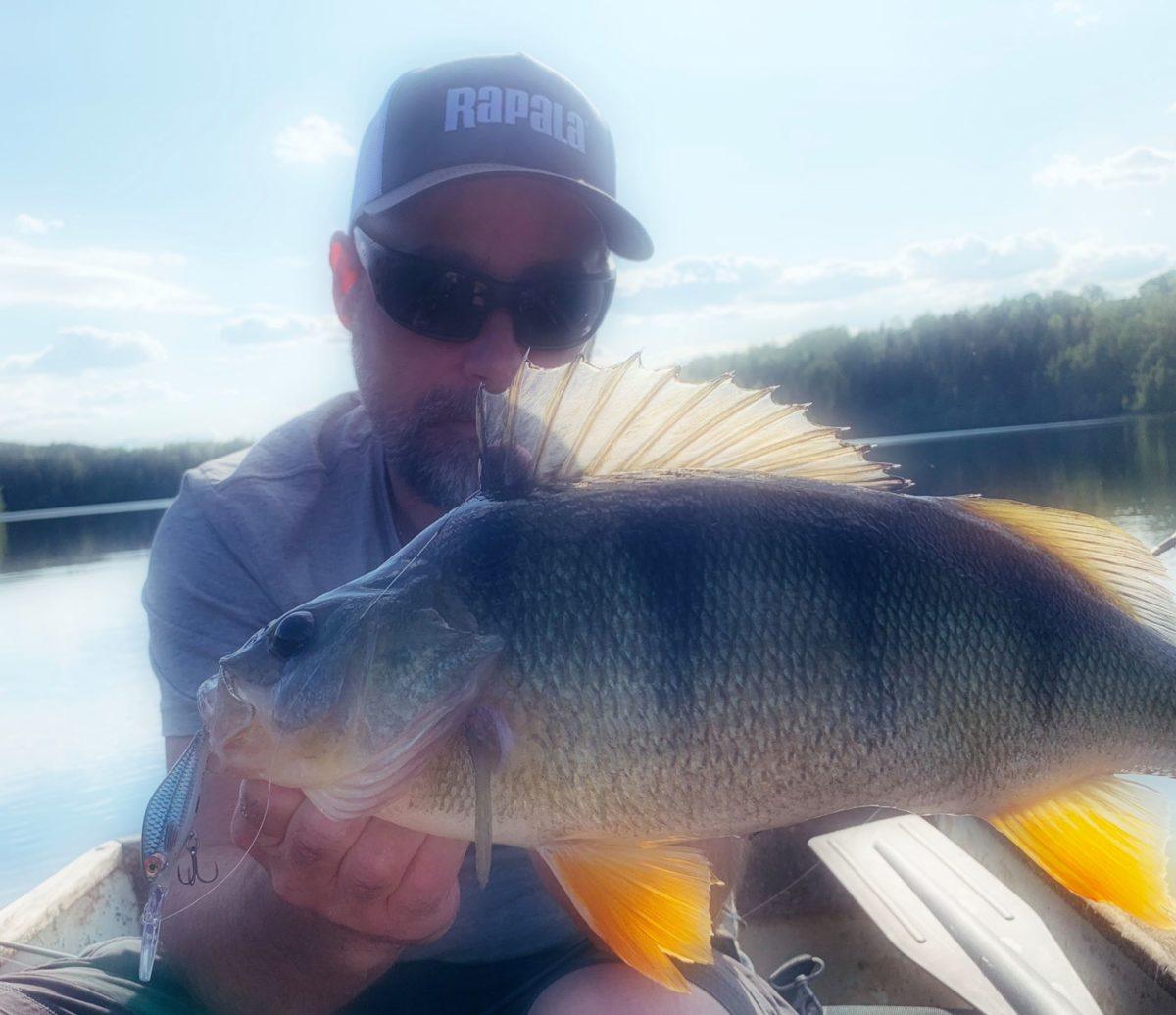 Stor 1. fisk fra Terje.