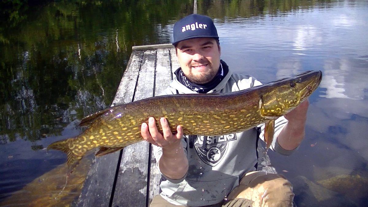 Issat-Erke Trosten med gjedder som snakker Nord-Norsk