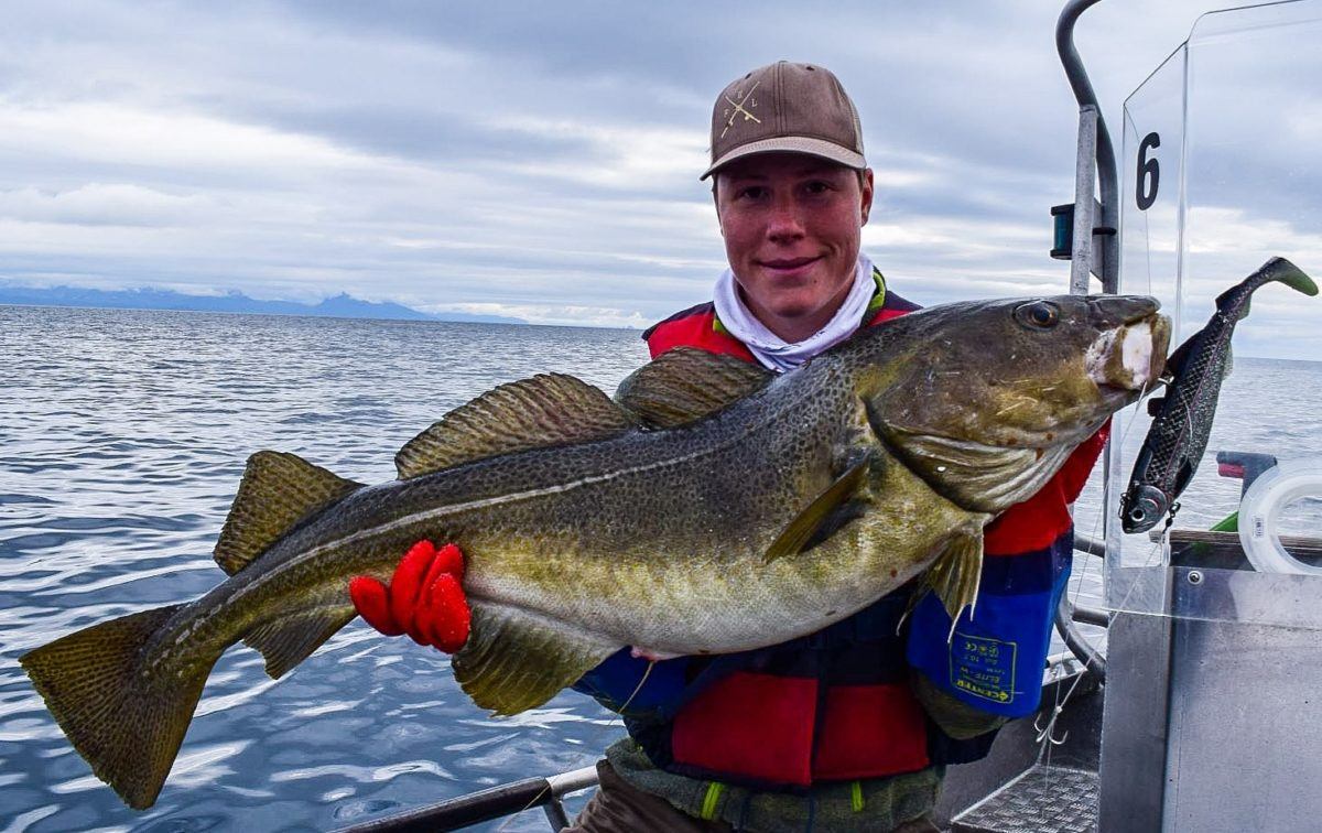 Havfiske i vakre Lofoten.