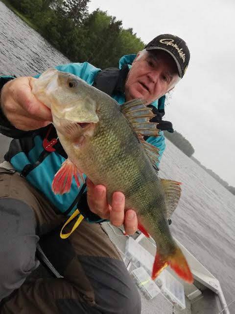 Fisk nummer 22. er så langt den største.