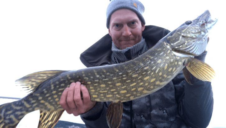 Anders Haugnes har vørri i Rendalen