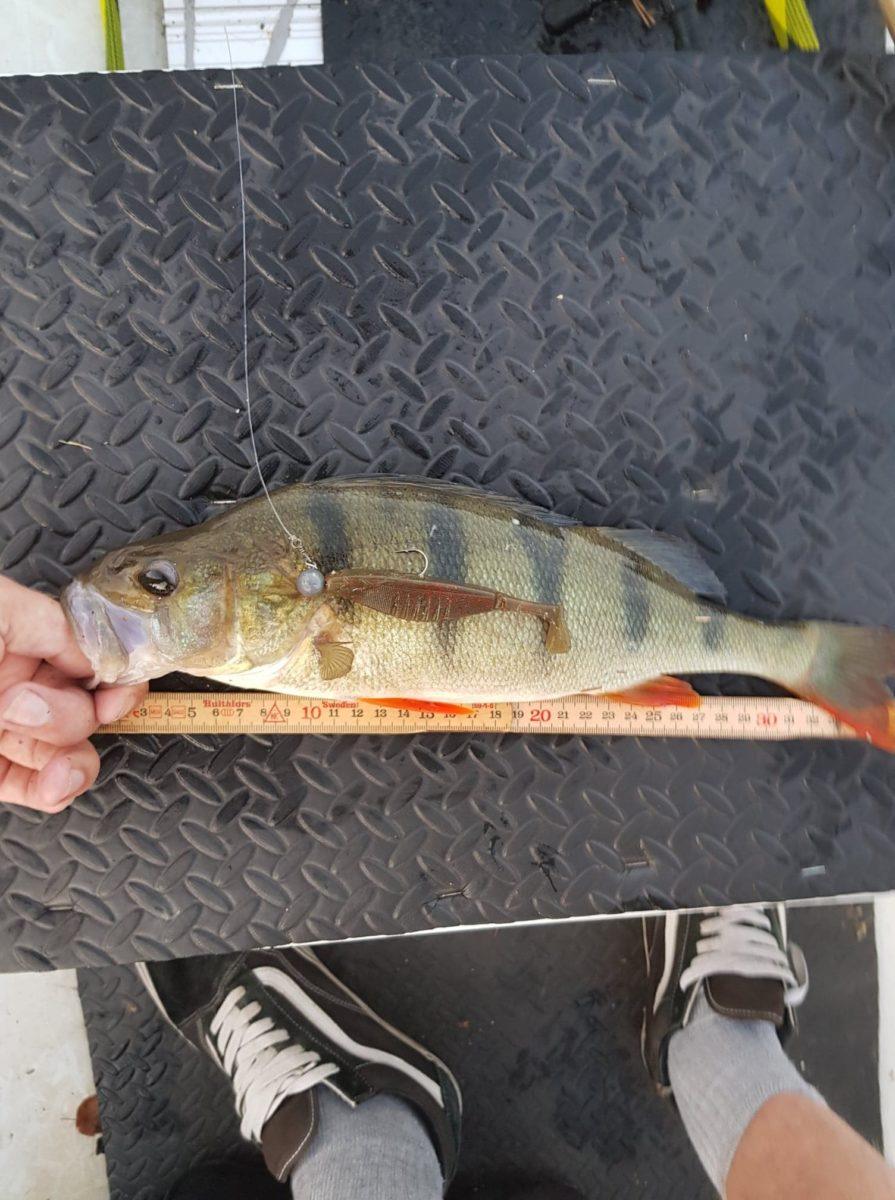 Eirik	Taasen med fisk på egen produsert bait.
