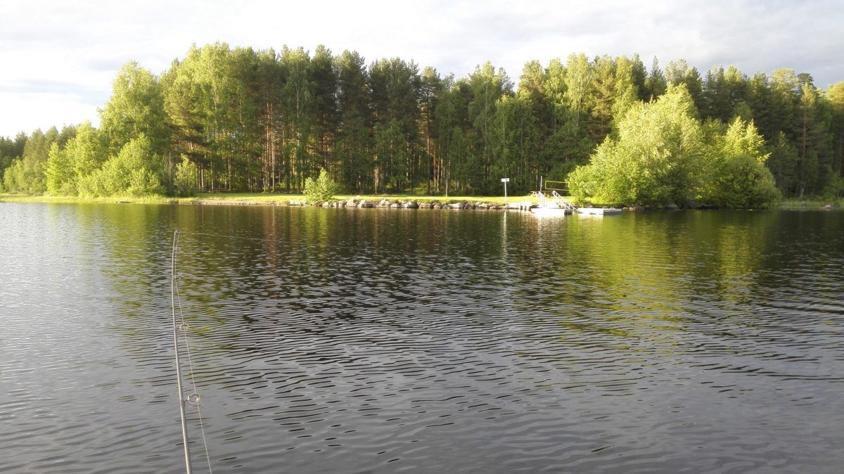 Abbormesterskap 31. august på Rokosjøen.