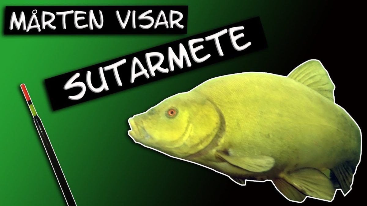 Suter meite med Mårten.