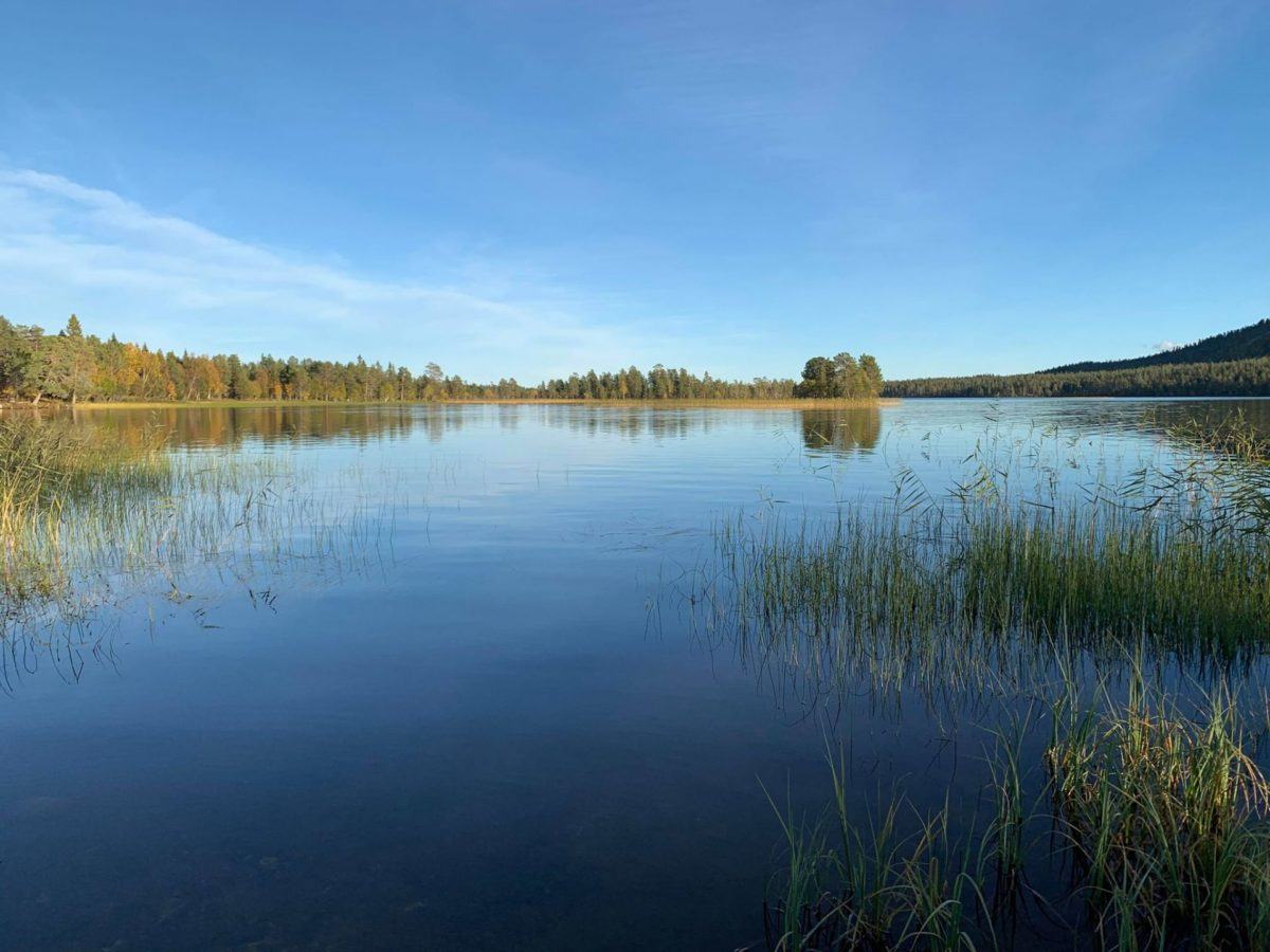 Gjedde og abborfiske i Femund/Engerdal. ( en video fra Sømåa og Istern.)