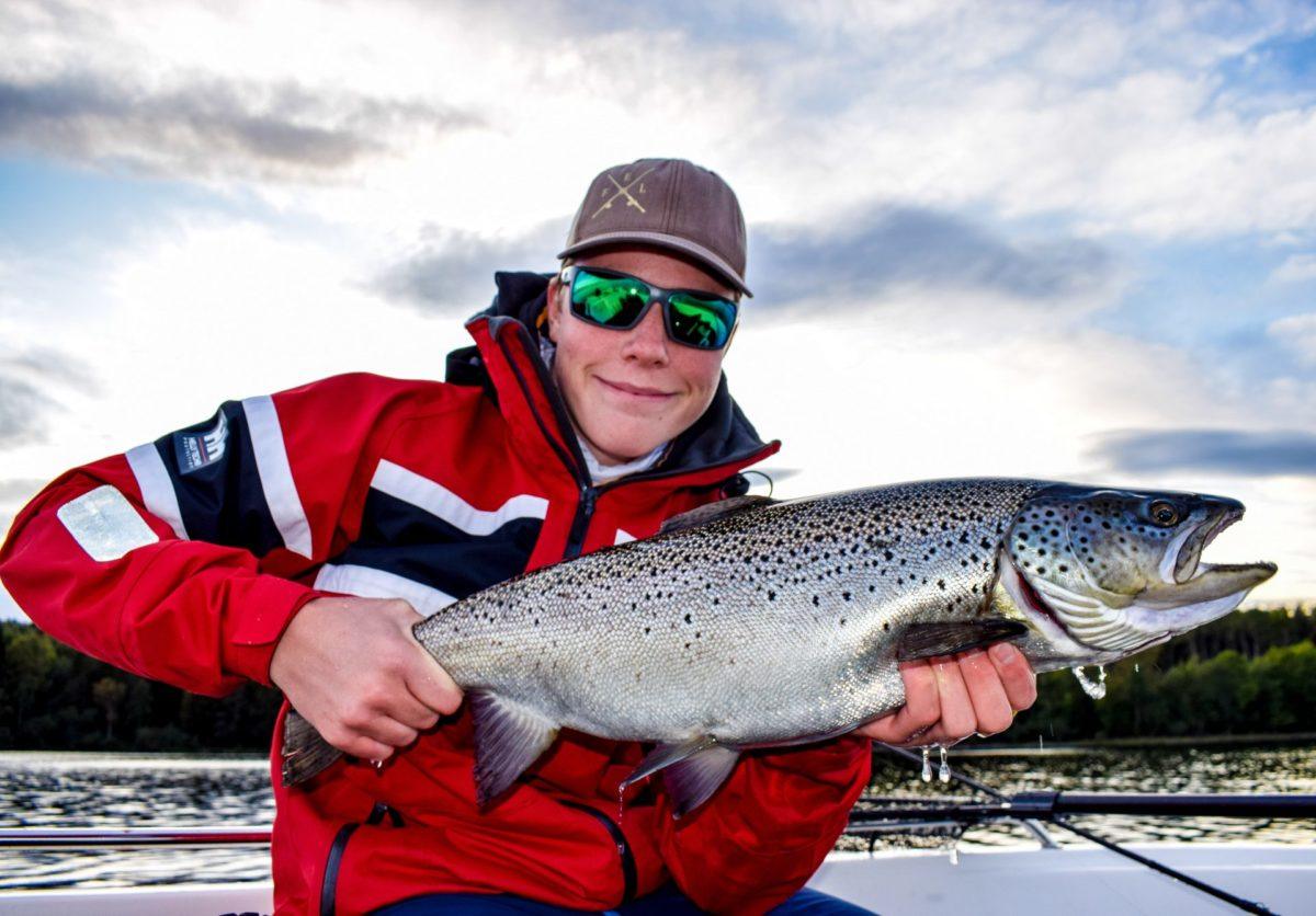 Abbor og ørretfiske i Mjøsa