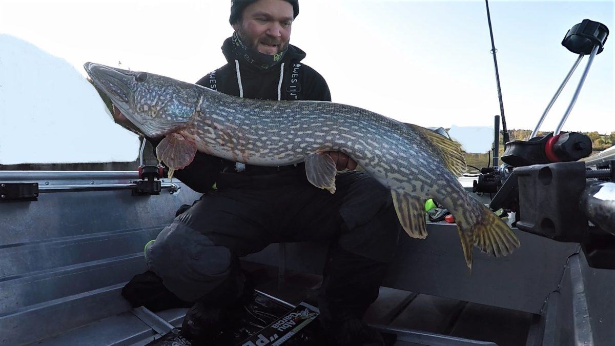 Du må over 8240gram