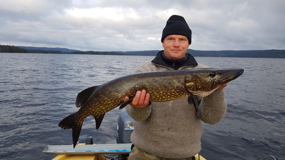 Stian har hatt en veldig bra år. Inn på topp 10.