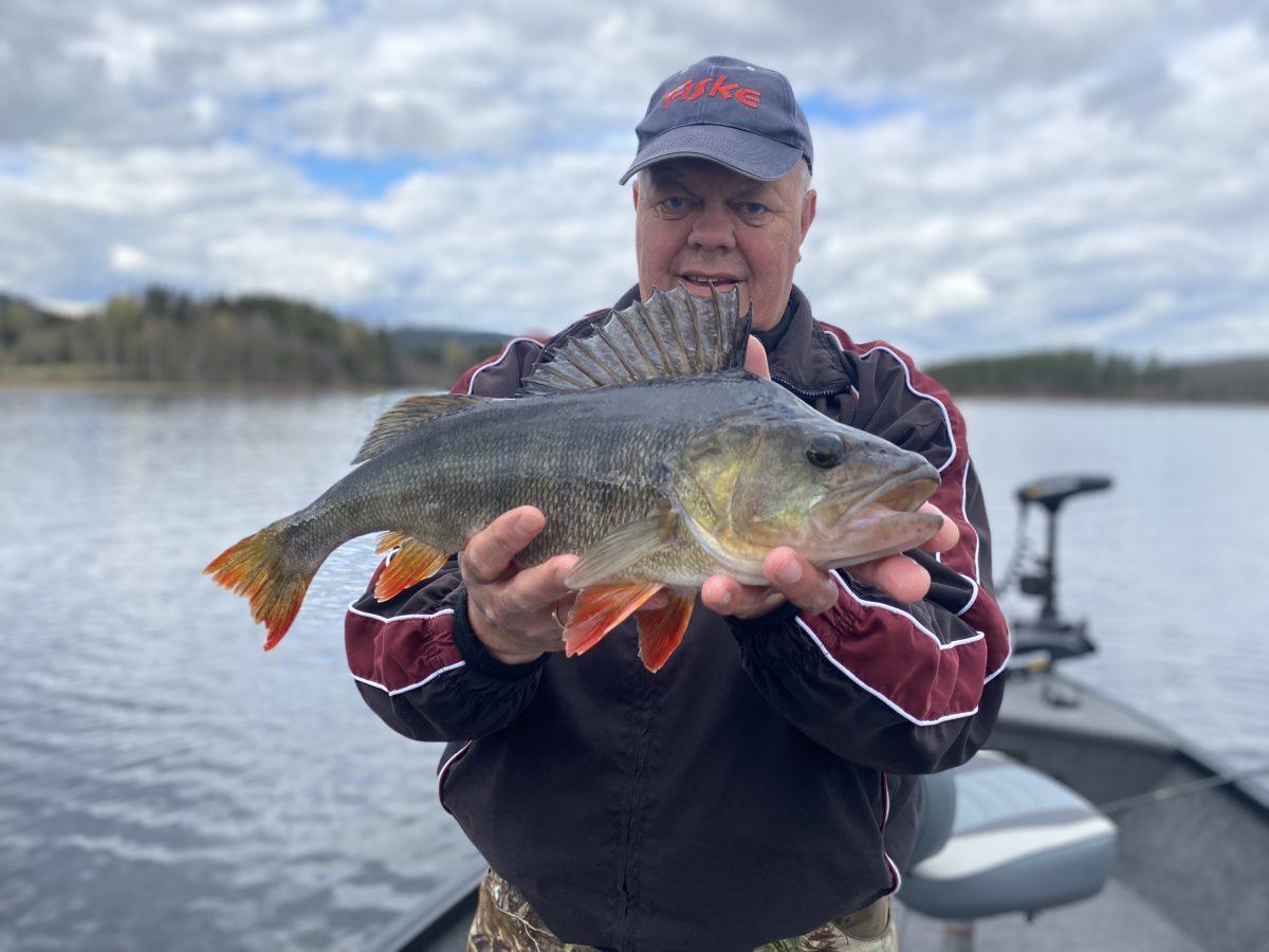 Leder abborkonkurransen