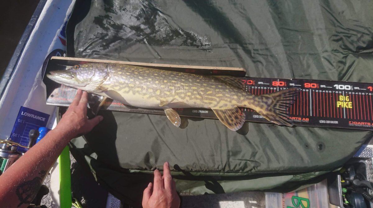 Inn med 86cm ut med 73cm
